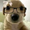 .chi.anh1