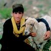 ayoubking085