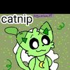 catnip.feliz.3