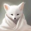 zorrito6475