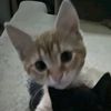abbypoppingbottles67
