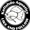 kafishdoaquatics