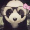 allei_shy2