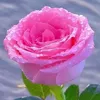 user610182242