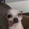 bucuu123_9