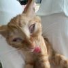 sefzzz_puqiiii07