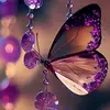 lily.williams132