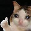 ughfjgjvv0
