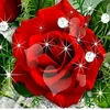 user219587442694