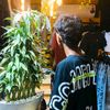 gantar205