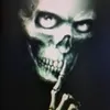 davidson66630