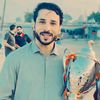 hussainali3221