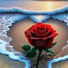 user5919524398429