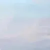 lialuvsu1