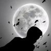 user86843116028244
