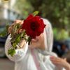 sheimaa.osama