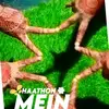 ...zaiba.islam