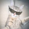fahim_vaiyee6