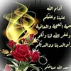 salim64695