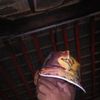 budi.suhadi