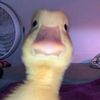 andrew_klasnuj