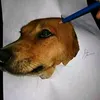 scrollmike