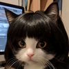 nom_u04