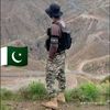 jan.afridi142