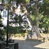 adid_17tgl12bln