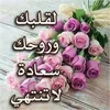 user3811853123497