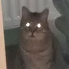 byefalisha47