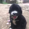 lanchi.cute3