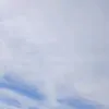 lwandisekolisile