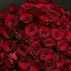 user190643833