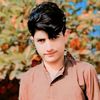 bajwa3342
