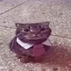 mistergato58