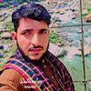 ankal449