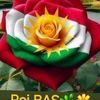 user17798885753144
