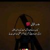 ali.shabbir835
