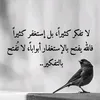 emadshamll