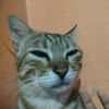 bukan.siapasiapa935