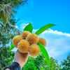 .raisha.sultana8