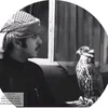 sff_389