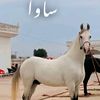 lalahassan0008