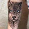 lucas.de.carvalho85