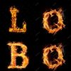 user8019686700510