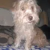 vagnerguinho336