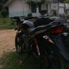 stvnpyur_