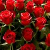 user9715114916204