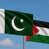 fatimasohail685